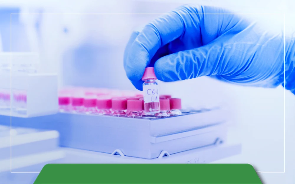 Best Gel Documentation System for Laboratories in Tajikistan | Features, Benefits, & Pricing