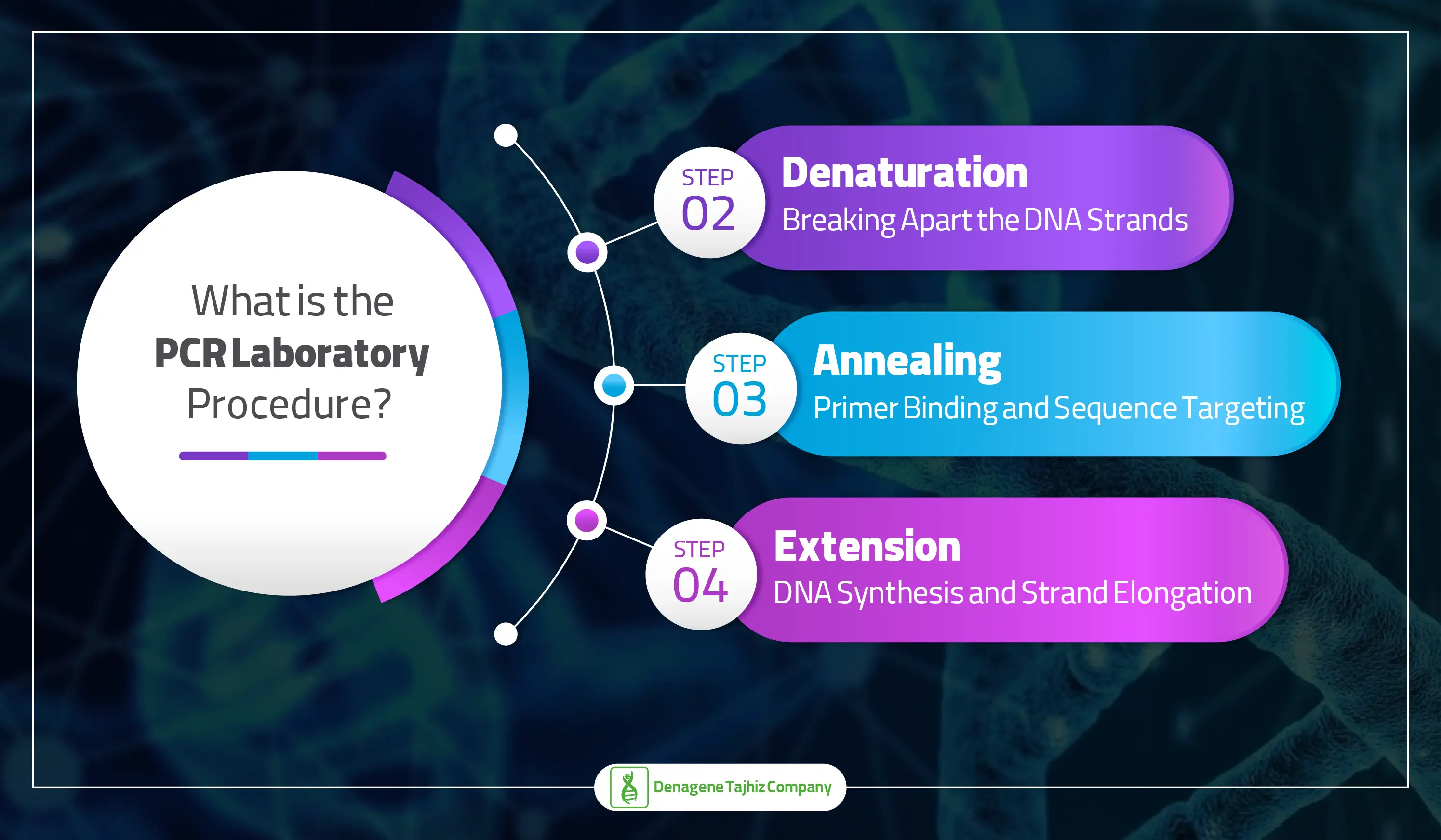 What is the PCR laboratory procedure?