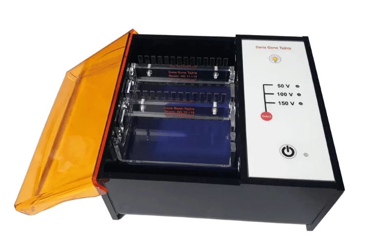 Real Time Electrophoresis