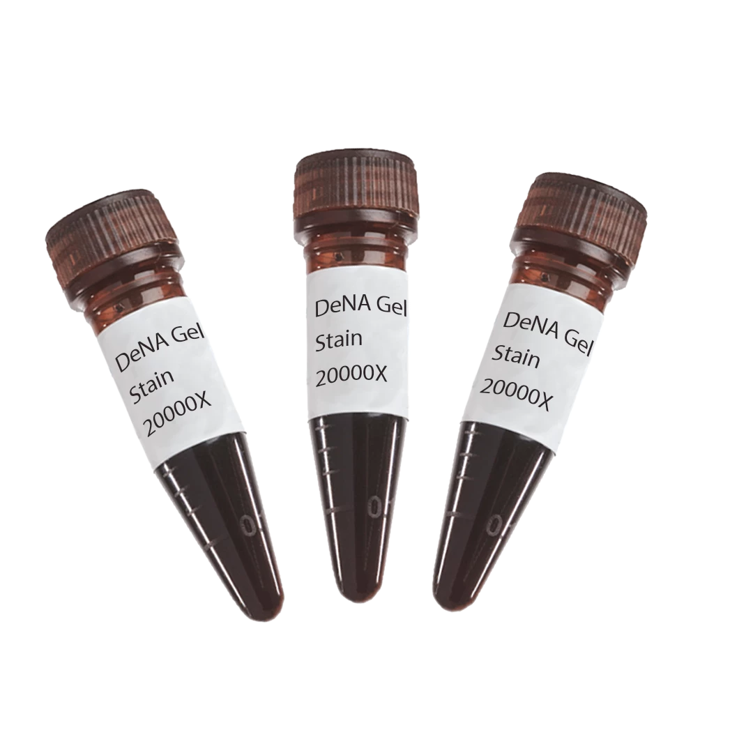 DeNA Gel Stain